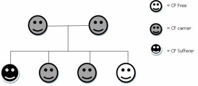 Inheritance pattern of CF